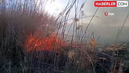 Yamadı Gölü'nde İkinci Sazlık Yangını Kontrol Altına Alındı