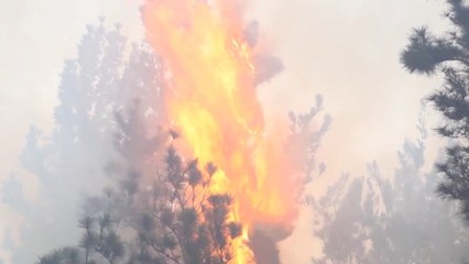 Cuales son las zonas con más potencial para un incendio forestal
