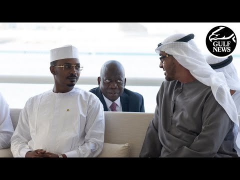 UAE President holds bilateral talks with transitional President of Chad