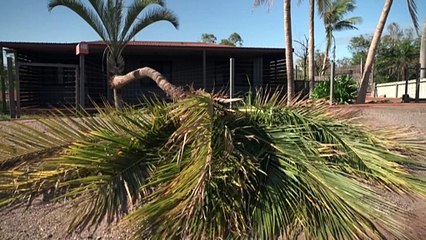 Pilbara region faces long road to recovery following ex-Tropical Cyclone Zelia