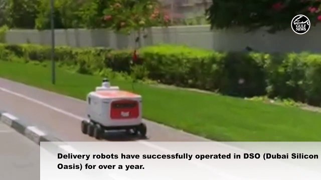 Dubai Silicon Oasis food delivery robots