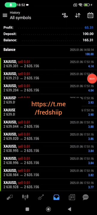INSTA TRIPLER FX BOT