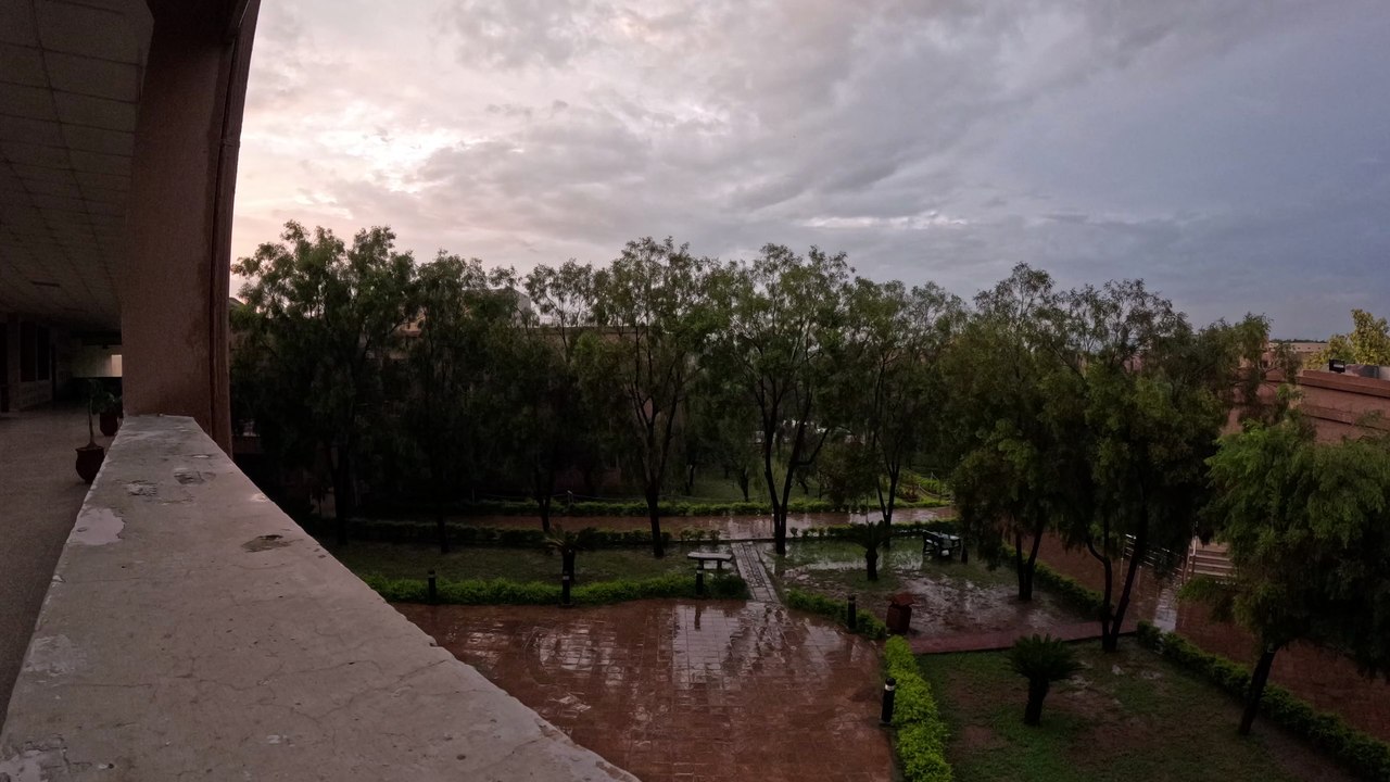 Little Rain