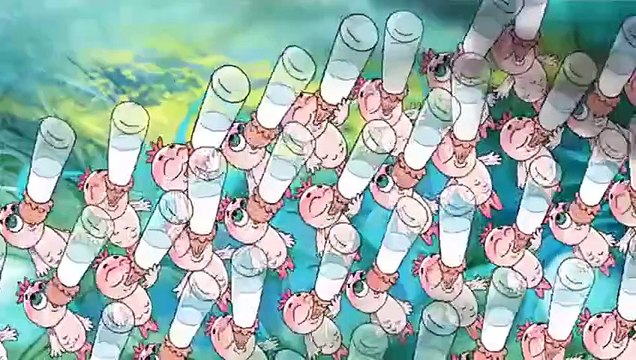 Рыбка по имени Нельзя (2011)