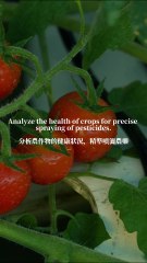 AI Advanced Graphics Solution