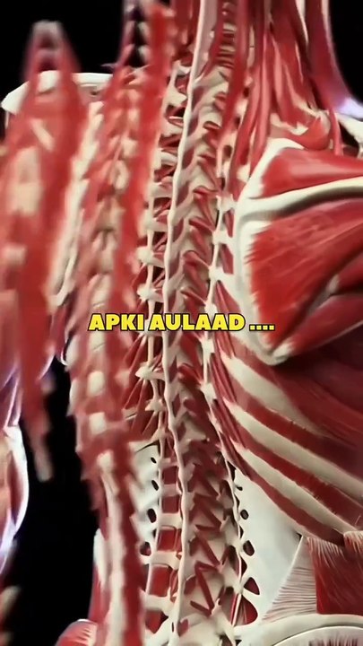 Best video 2024