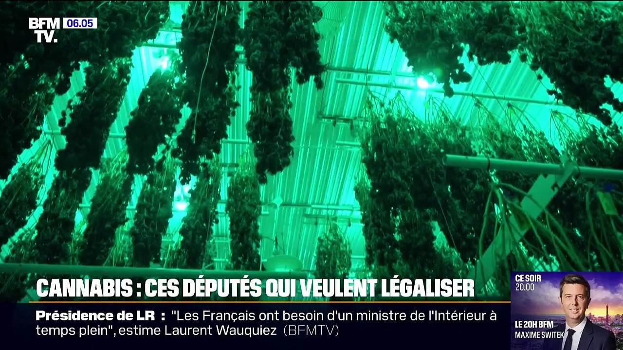 Deux députés proposent la légalisation du cannabis et la dépénalisation de la détention de moins de 3g de cocaïne
