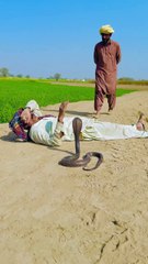2 Man Cobra Snake 🐍OMG Please Save My