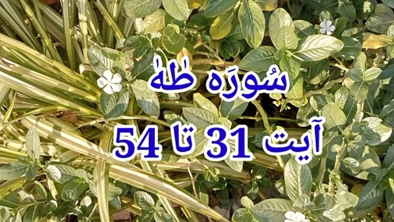 Surah Taha ki tilawat | Tilawat beautiful voice | Surah Taha | quran recitation |