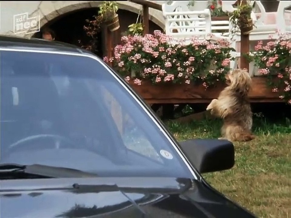 Die Schwarzwaldklinik S01E07 - Die Wunderquelle