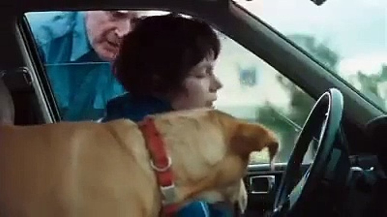 Wendy and Lucy | movie | 2008 | Official Trailer