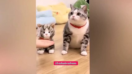 Best funny animal videos 2025 😂_cat & dogs cute videos_#cats _#dogs _#petlover _All animals universe
