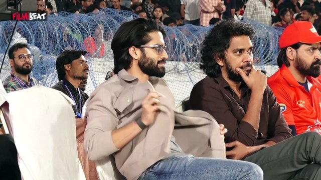 CCL 2025 : Tollywood Beauties Crazy Look At CCL | Naga Chaitanya | Avika Gor | Filmibeat Telugu