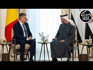 UAE President, Romanian PM discuss relations, witness MoU exchange