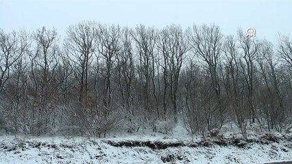 Kırklareli'nin yüksek kesimlerine kar yağıyor