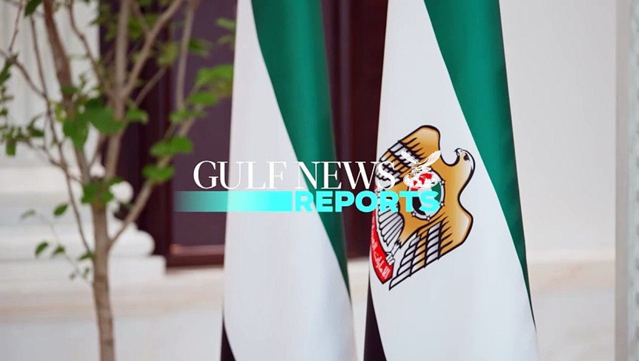 UAE and Angolan Presidents explore bolstering bilateral cooperation