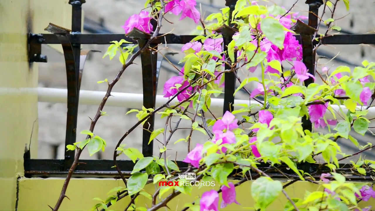 A Rainy Summer Day At Home 🌧️ | MONSOON RAINS | CLIMATE IN SINDH | Raining in Sindh | max RECORDS
