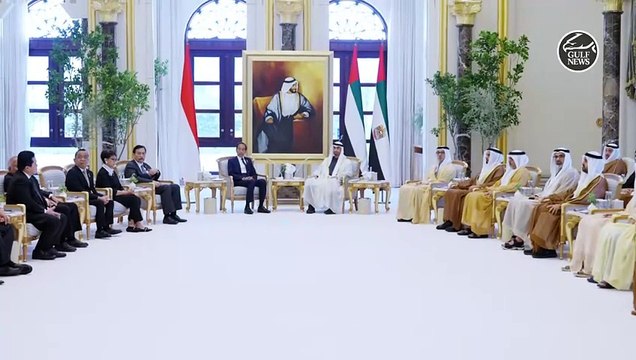 UAE President Presents The Order of Zayed medal to President of Indonesia
