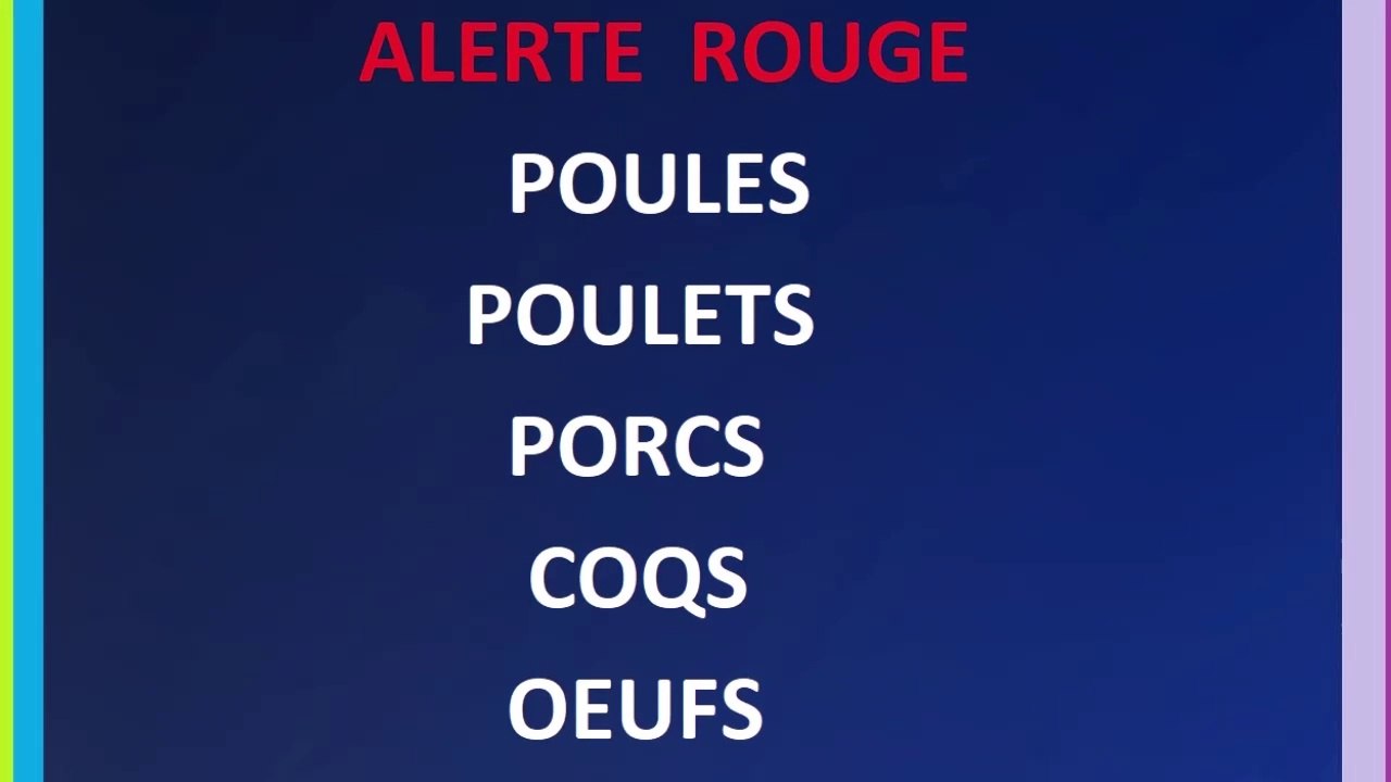 Alerte Rouge : Poules Poulets Coqs Porcs Œufs