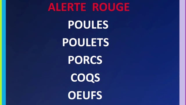 Alerte Rouge : Poules Poulets Coqs Porcs Œufs