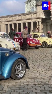 16e édition de la Love Bugs Parade à Bruxelles