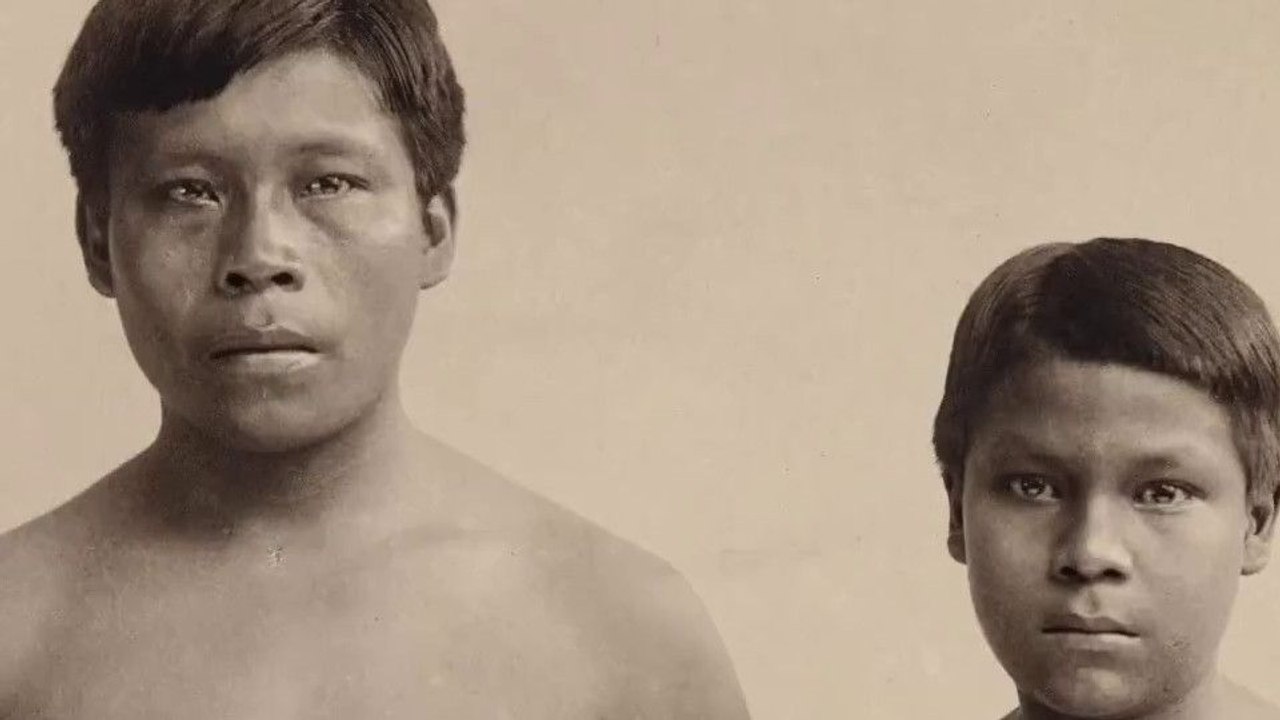 The Memory Of Butterflies Teaser OmeU