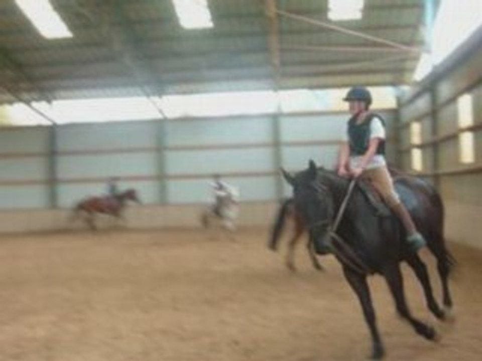 Mon shoushou (lolotte)