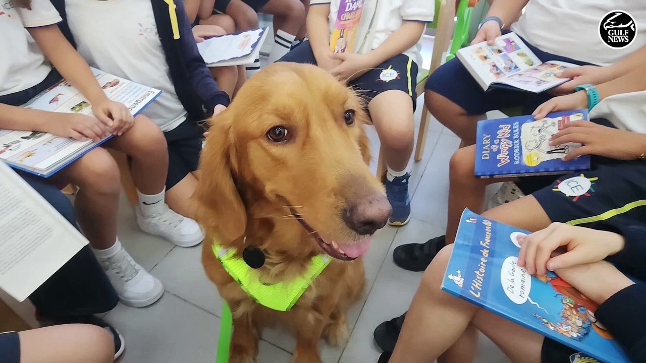 Meet Dubai's reading dog