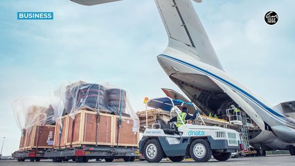 Dnata CEO Steve Allen reveals the airport and travel services growth after a successful H1-2024.