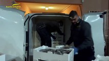 Il video dell'operazione della guardia di finanza sulla filiera ittica a Palermo