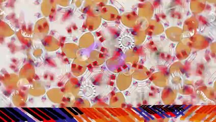 Let Music take you to Paradise, Mahamaya Experience