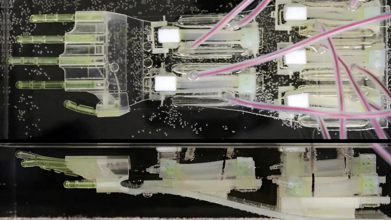 Terminator-like hand that uses lab-grown muscle tissue developed