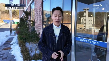 [현장 카메라]성착취물 찾고 트라우마 치유…경찰견의 세계