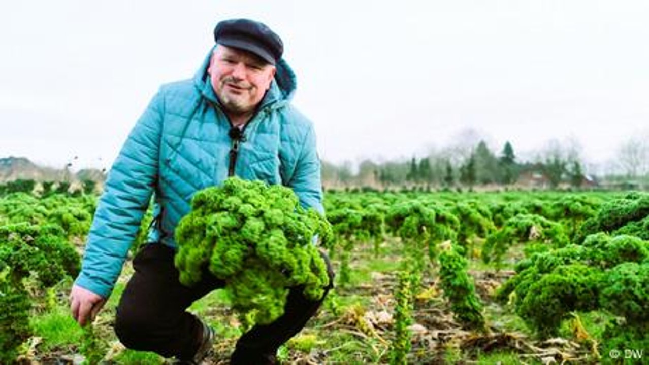 Superfood Grünkohl - lecker und gesund