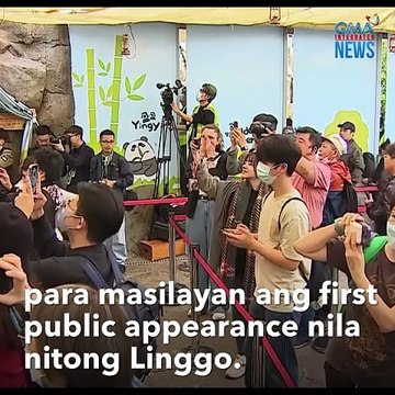Very cutesy na twin panda, main character sa Hong Kong | GMA Integrated News Feed