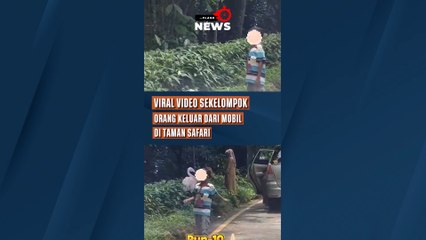Viral Video Sekelompok Orang Keluar dari Mobil di Taman Safari