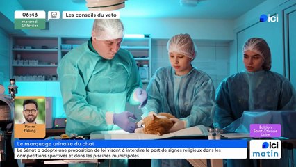19/02/2025 - ici matin par ici Saint-Étienne Loire en vidéo