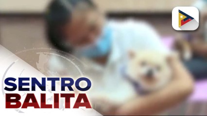 ‘Angel Pets’ program ng DSWD, inilunsad na;