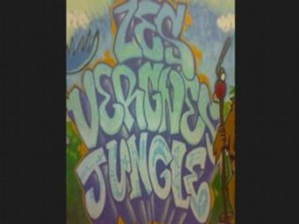 FLAM CITY BEACH INSPECTION  ENCORE PLUS MECHANT 2008