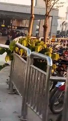 Peshawar Airport View Pakistan #peshawarairport #airport #airportlook #pakistan #pakistantravel    🔥Do Not Forget to Leave your Comment & Share it with your FrPeshawar Airport View Pakistan #peshawarairport #airport #airportlook #pakistan #pakistantravel
