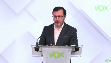Vox se desmarca de la polémica de Milei con las criptomonedas