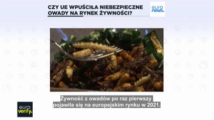 Euroverify: Czy UE wpuściła niebezpieczne owady na rynek żywności?