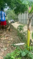 Operativos Policia Nacional