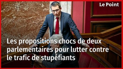 Les propositions chocs de deux parlementaires pour lutter contre le trafic de stupéfiants