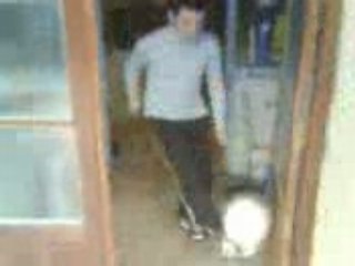 PROS DU FOOT SUR FOND TIMBALAND:EP2