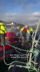 Mowi plans to breathe new life into uninhabited Scottish island with multimillion pound investment