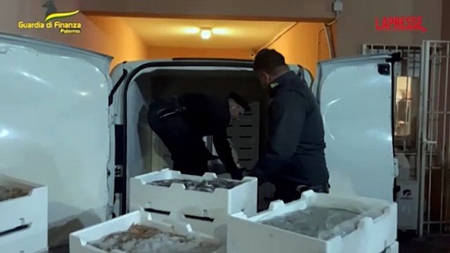 Palermo, la guardia di finanza sequestra oltre 800 kg di pesce e lo devolve in beneficenza