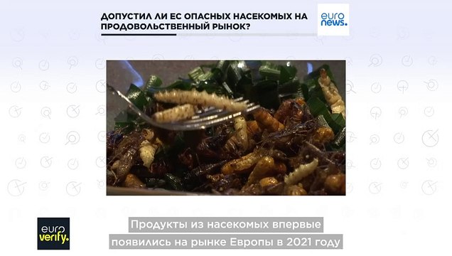 Европейцев заставляют есть опасных насекомых?