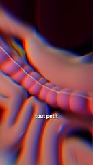 Comment réussir à voir l’intérieur de nos corps ?