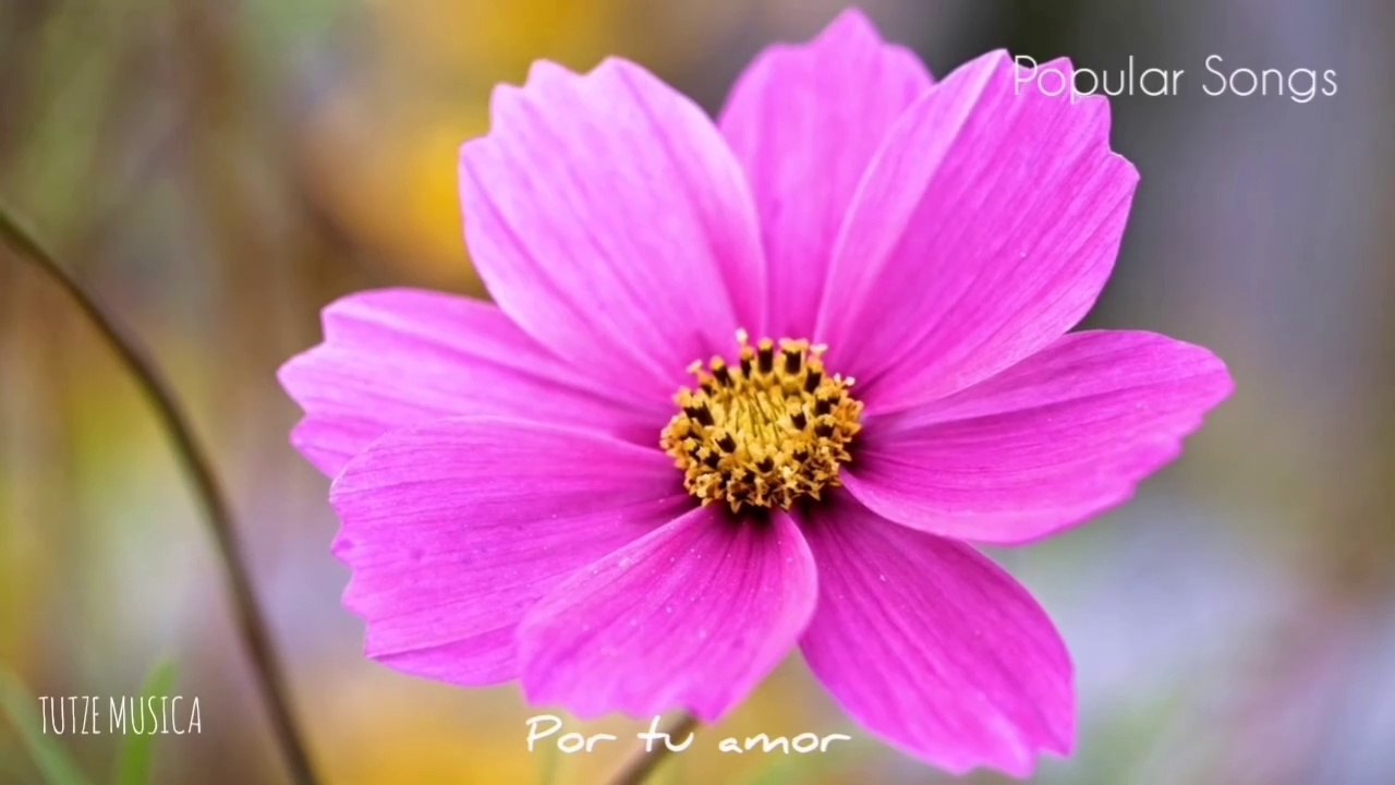 POR TU AMOR